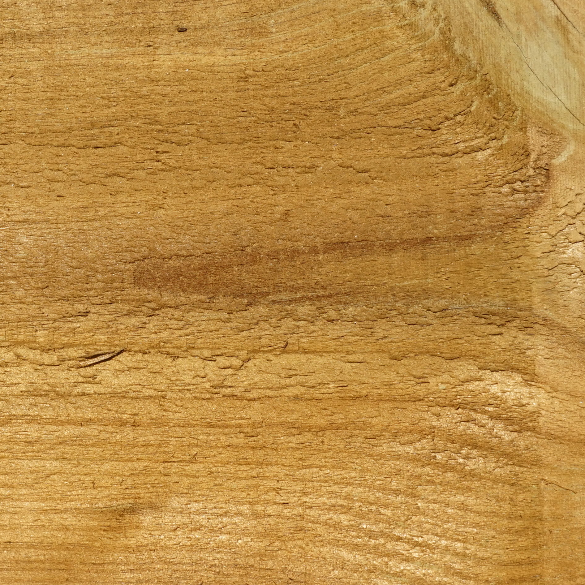 Primer plano de la veta y textura de madera de pino ecológica tratada en tono miel para traviesas de exterior.