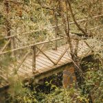 Inspiración para jardín: Puente rústico construido con traviesas de tren de madera en un entorno boscoso.