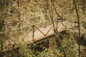 Inspiración para jardín: Puente rústico construido con traviesas de tren de madera en un entorno boscoso.