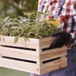 Hombre sujetando una jardinera de madera artesanal con plantas para un proyecto de decoración de exteriores con traviesas de tren.