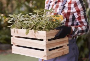 Hombre sujetando una jardinera de madera artesanal con plantas para un proyecto de decoración de exteriores con traviesas de tren.